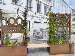 IMG_20250517_105834390