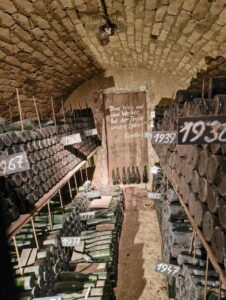 Loisium  Wein Welt - Kellerrundgang mit Weinverkostung Loisium Wein Welt - Kellerrundgang mit Weinverkostung